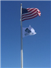 American Flag & Tree City USA Flag