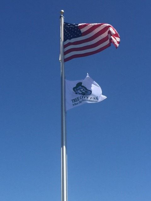 American Flag & Tree City USA Flag