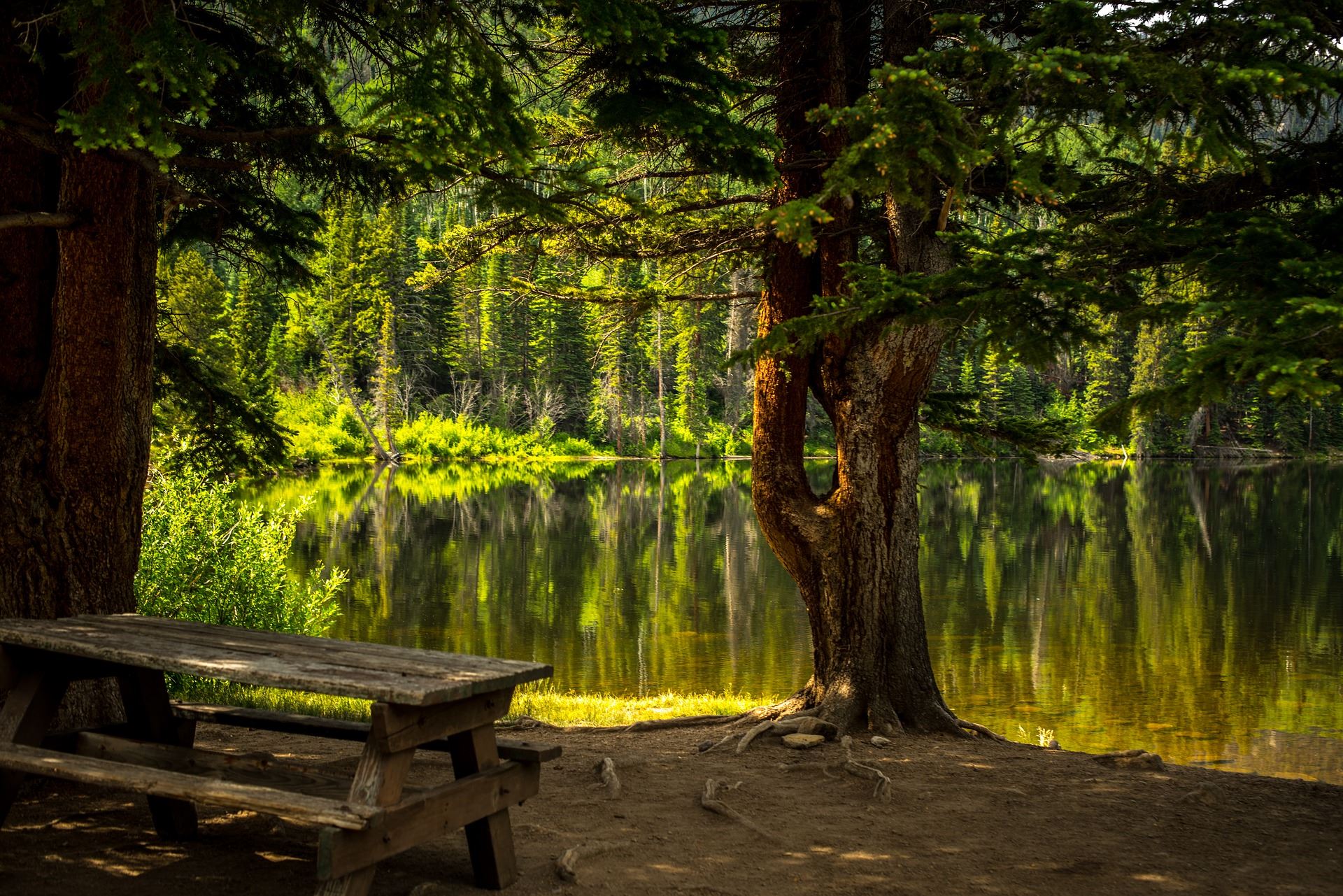 An image of a park bench. 
