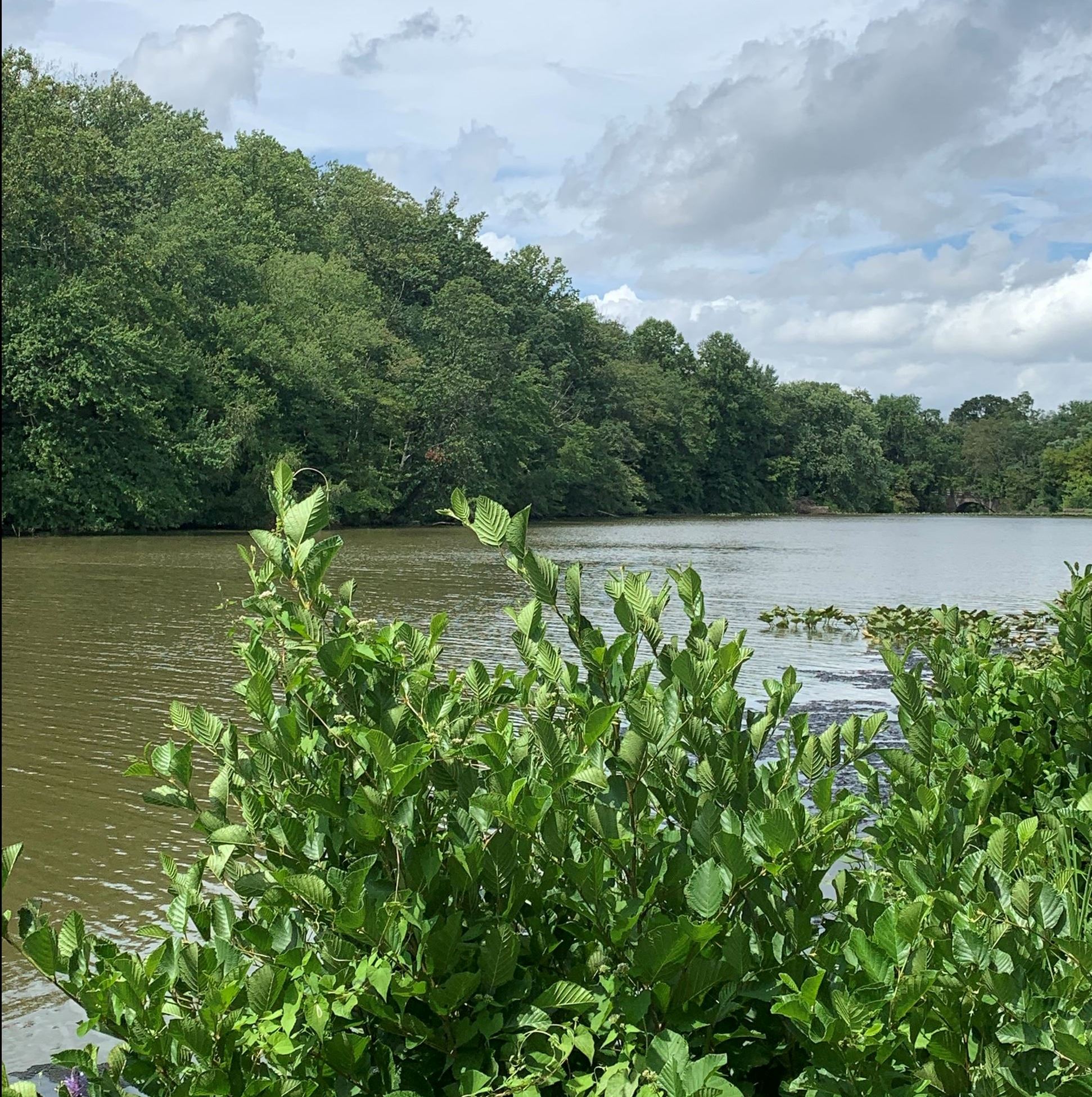 A photo of Strawbridge Lake. 