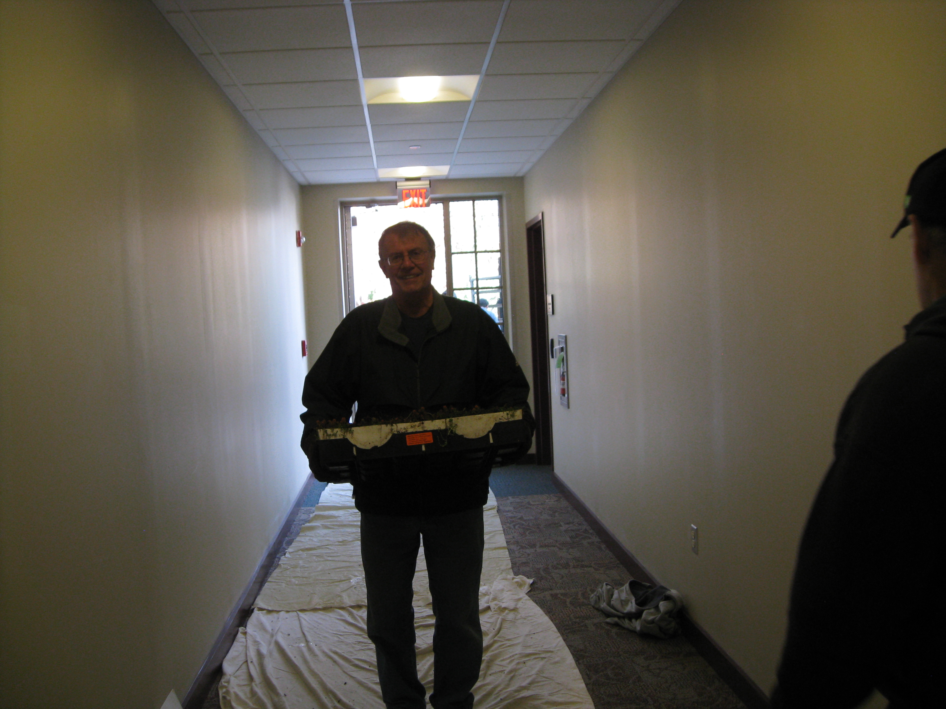 Binging the Plants In